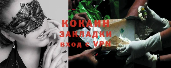 ПСИЛОЦИБИНОВЫЕ ГРИБЫ Елизово