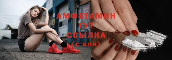 гашик Ельня