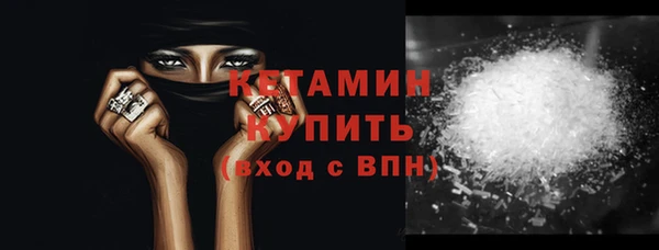 гашик Ельня
