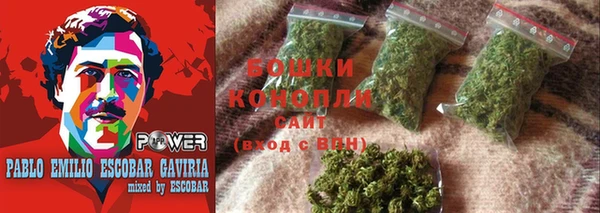 ПСИЛОЦИБИНОВЫЕ ГРИБЫ Елизово