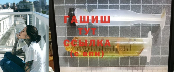 гашик Ельня