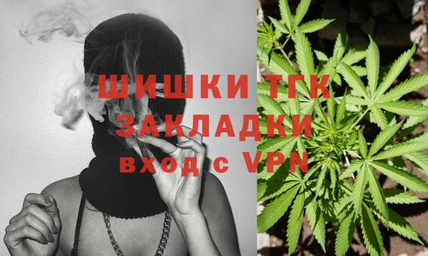 гашик Ельня
