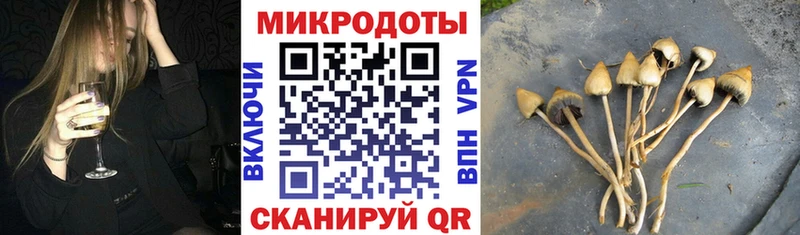 Галлюциногенные грибы Magic Shrooms  где можно купить наркотик  Заозёрск 